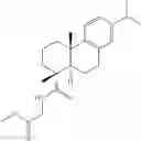 Fig. 13 - ABIETANE-TYPE DITERPENOIDS