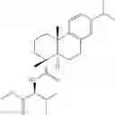 Fig. 14 - ABIETANE-TYPE DITERPENOIDS