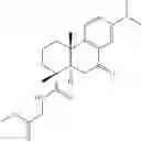 Fig. 34 - ABIETANE-TYPE DITERPENOIDS