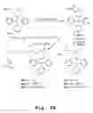 Fig. 07 - Antibacterial antisense oligonucleotide and method