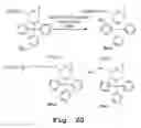 Fig. 09 - Antibacterial antisense oligonucleotide and method