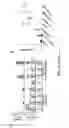 Fig. 07 - Modulating Agonistic TNFR Antibodies