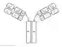 Fig. 01 - MULTIVALENT ANTIGEN-BINDING PROTEINS