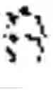 Fig. 02 - PROTEASE-ACTIVATABLE BISPECIFIC PROTEINS