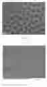 Fig. 02 - Self-passivating quantum dot and preparation method thereof