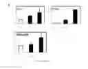 Fig. 04 - PROGENITOR CELLS, METHOD FOR PREPARATION THEREOF AND USES THEREOF