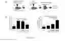 Fig. 06 - PROGENITOR CELLS, METHOD FOR PREPARATION THEREOF AND USES THEREOF
