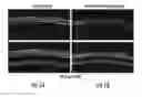 Fig. 02 - Method for efficient delivery of therapeutic molecules in vitro and in vivo