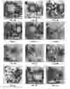 Fig. 28 - Single-molecule phenotype analysis