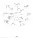 Fig. 09 - Enzymatic encoding methods for efficient synthesis of large libraries