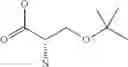 Fig. 99 - Enzymatic encoding methods for efficient synthesis of large libraries