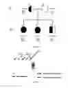 Fig. 03 - Methods and pharmaceutical compositions for the treatment of erythropoietic protoporphyria