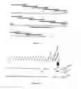 Fig. 07 - Methods and pharmaceutical compositions for the treatment of erythropoietic protoporphyria