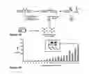 Fig. 02 - CATALYTIC NUCLEIC ACID PROBES AS MICROBIAL INDICATORS