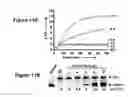 Fig. 09 - CATALYTIC NUCLEIC ACID PROBES AS MICROBIAL INDICATORS