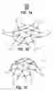 Fig. 02 - Folding frame system with V-shaped leg assembly and folding foot assembly