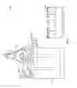 Fig. 07 - Modular Pressure Control and Drilling Waste Management Apparatus for Subterranean Borehole