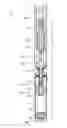 Fig. 01 - Conveying device for conveying a flowable medium