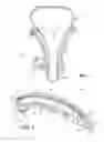 Fig. 02 - IMPROVED CHAIN GUIDE AND TENSIONING APPARATUS