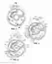 Fig. 03 - Gasket having upper and lower active layers and a spacer layer