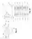 Fig. 02 - Firearm discharge recording and reporting system