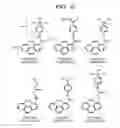 Fig. 06 - MOLECULAR DETECTION APPARATUS AND MOLECULAR DETECTION METHOD