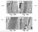 Fig. 11 - Automated imaging of chromophore labeled samples