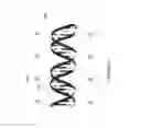 Fig. 43 - Micro-devices for disease detection