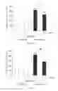 Fig. 02 - Marker For Depression, Assay Method, Method For Determining Depression, Screening Method For Antidepressants, And Kit