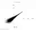 Fig. 06 - Methods of assaying RNA from fetal extravillous trophoblast cells isolated from a maternal endocervical sample
