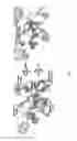 Fig. 08 - Crystal structures of human Torsin-A and methods of determining and using the same