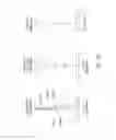 Fig. 09 - Optical image capturing system