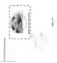 Fig. 47 - MAGNETIC MOUNT FOR AN AUXILIARY LENS IN A HEAD-WORN COMPUTER