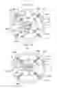 Fig. 05 - EXPOSURE METHOD AND APPARATUS, AND METHOD FOR FABRICATING DEVICE WITH LIGHT AMOUNT DISTRIBUTION HAVING LIGHT LARGER IN FOUR AREAS