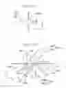 Fig. 11 - EXPOSURE METHOD AND APPARATUS, AND METHOD FOR FABRICATING DEVICE WITH LIGHT AMOUNT DISTRIBUTION HAVING LIGHT LARGER IN FOUR AREAS