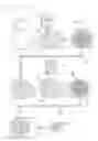 Fig. 22 - EXPOSURE METHOD AND APPARATUS, AND METHOD FOR FABRICATING DEVICE WITH LIGHT AMOUNT DISTRIBUTION HAVING LIGHT LARGER IN FOUR AREAS