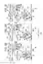 Fig. 09 - Image forming apparatus with separator to separate a roller from a photosensitive drum