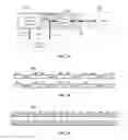 Fig. 09 - Dual data streams sharing dual level two cache access ports to maximize bandwidth utilization