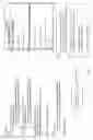 Fig. 02 - Hierarchical identifiers for HTML elements