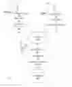 Fig. 01 - Methods and systems for generation, curation, and presentation of media collections