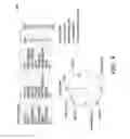 Fig. 09 - Basket creation system and method