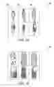 Fig. 02 - Image manipulation for electronic display