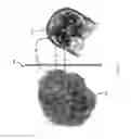 Fig. 08 - System and method for image processing