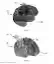 Fig. 10 - System and method for image processing