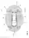Fig. 06 - Multi-passenger door detection for a passenger transport