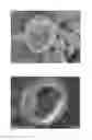 Fig. 02 - AGROCHEMICAL COMPOSITE PARTICLES AND PRODUCTION METHOD THEREOF