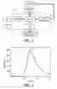 Fig. 02 - Method for controlling a process of roasting coffee beans and device for use in a process for roasting coffee beans