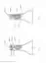 Fig. 07 - Fruit flavoring in the image of a fruit portion for introduction into a vessel for flavoring a fluid