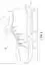Fig. 03 - Article of footwear and sole structure with sensory node elements disposed at discrete locations