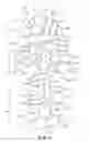 Fig. 05 - Article of footwear and sole structure with sensory node elements disposed at discrete locations